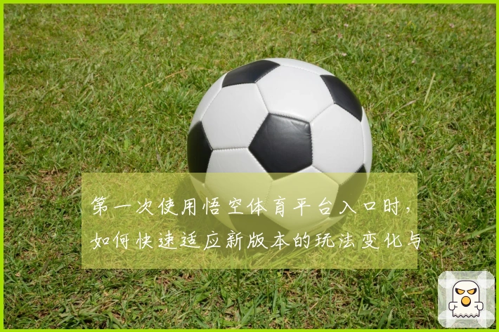 第一次使用悟空体育平台入口时，如何快速适应新版本的玩法变化与技巧分享