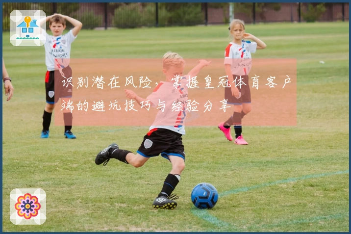 识别潜在风险，掌握皇冠体育客户端的避坑技巧与经验分享