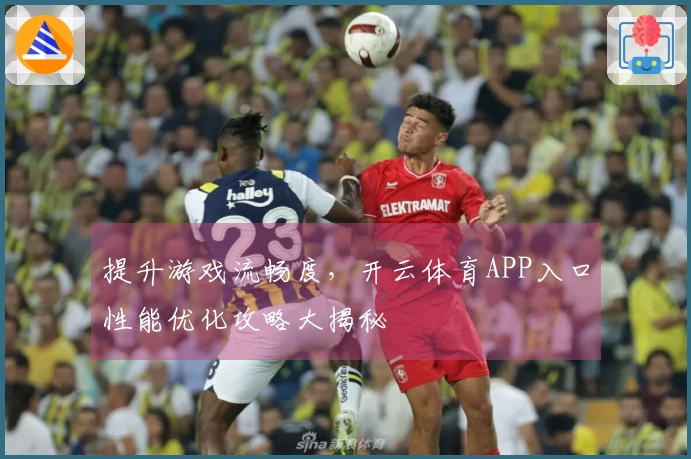 提升游戏流畅度，开云体育APP入口性能优化攻略大揭秘
