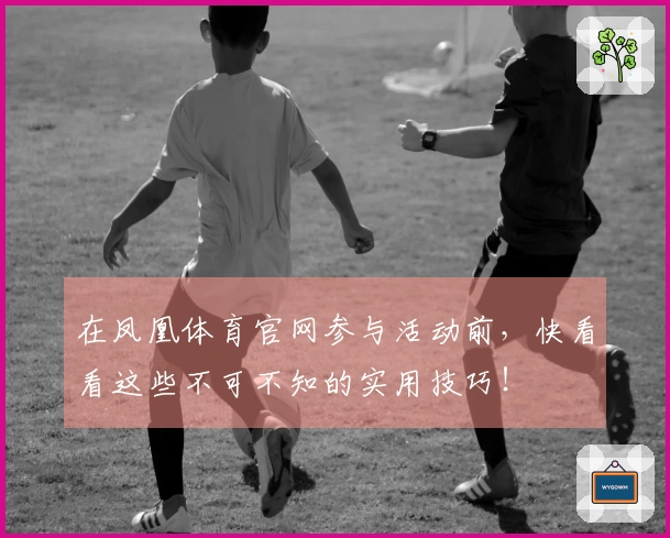 在凤凰体育官网参与活动前，快看看这些不可不知的实用技巧！