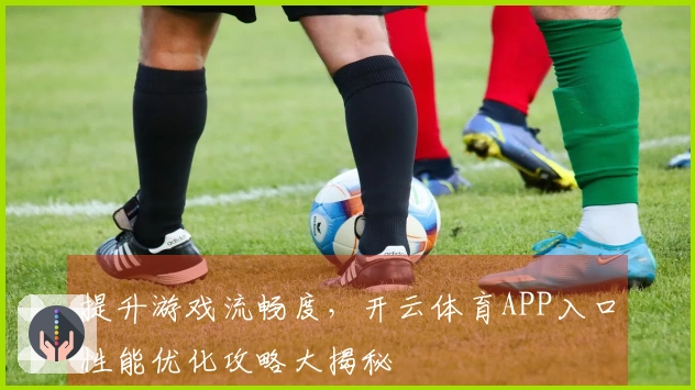 提升游戏流畅度，开云体育APP入口性能优化攻略大揭秘