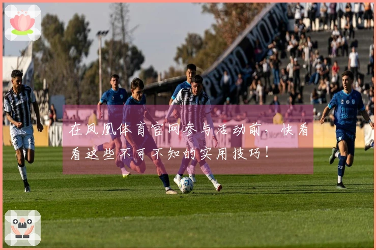 在凤凰体育官网参与活动前，快看看这些不可不知的实用技巧！