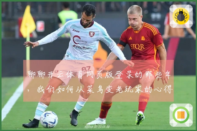 聊聊开云体育网页版登录的那些年，我们如何从菜鸟变老玩家的心得分享